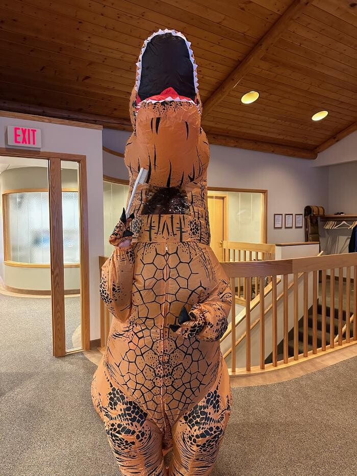 Images Toboggan Run Dental