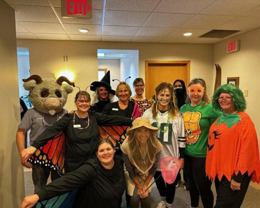 Images Toboggan Run Dental