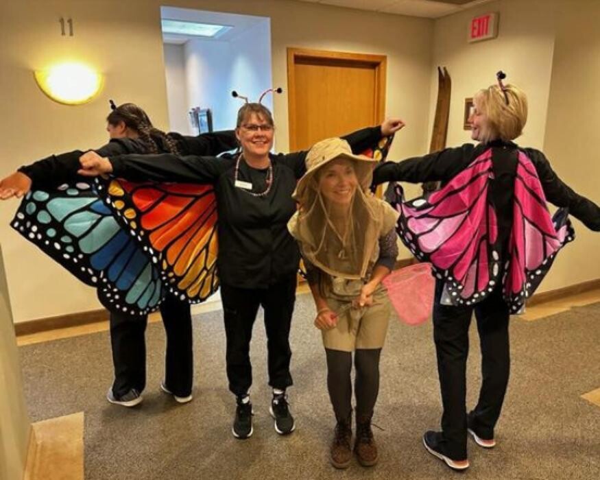 Images Toboggan Run Dental