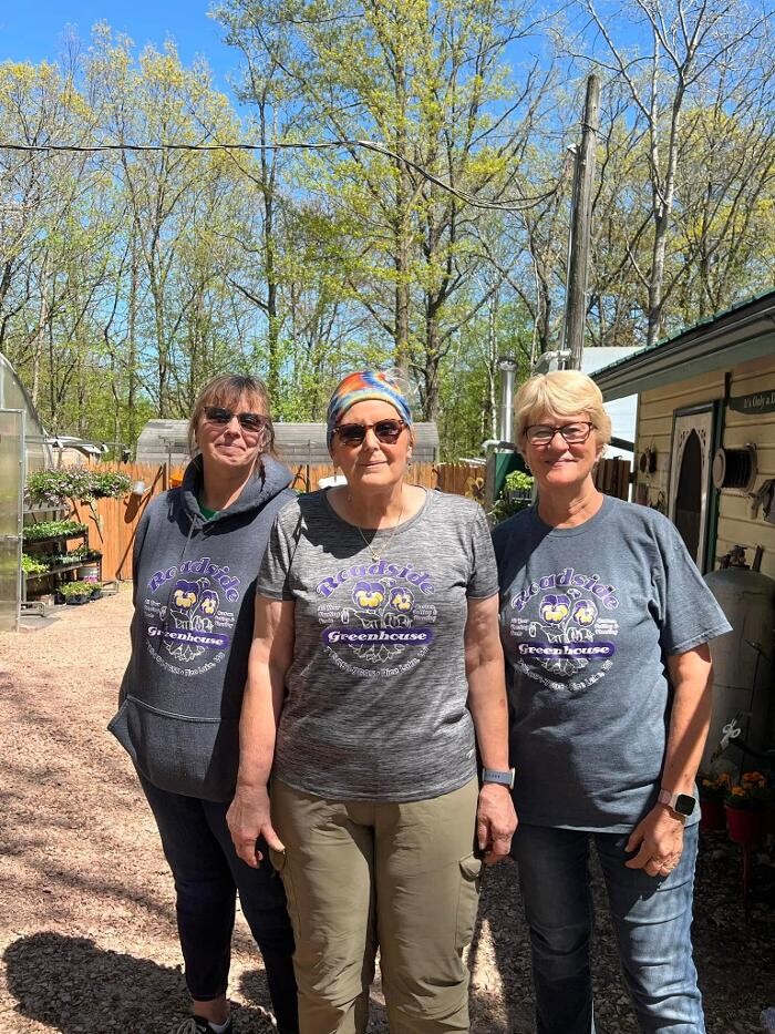 Images Toboggan Run Dental