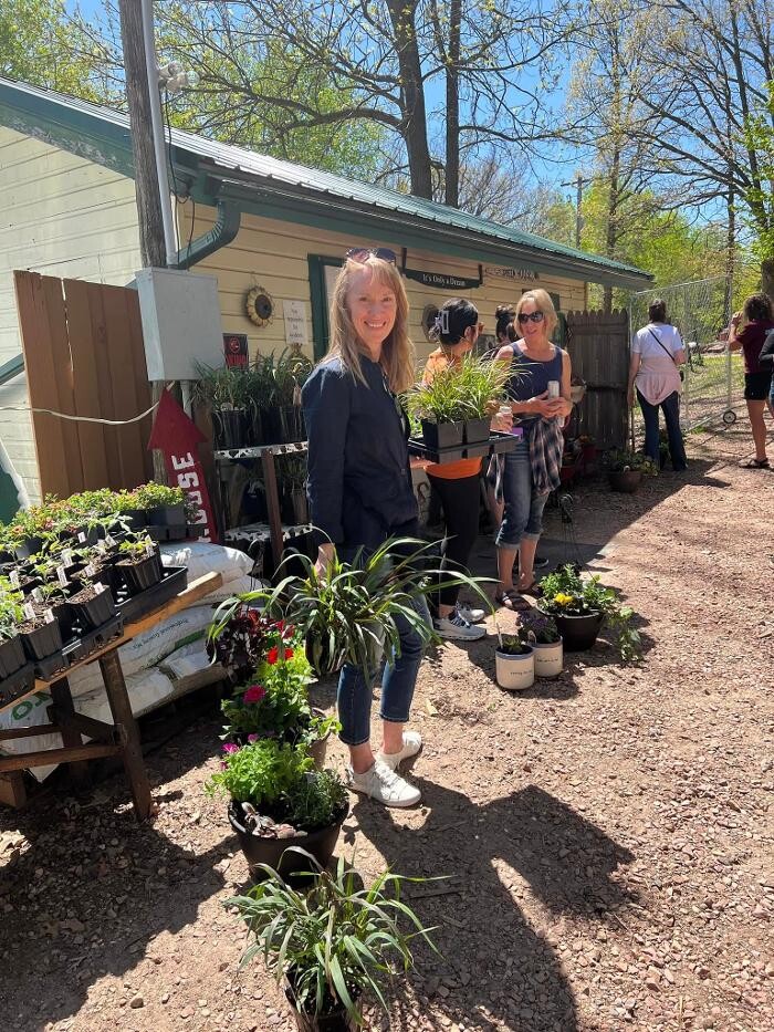 Images Toboggan Run Dental