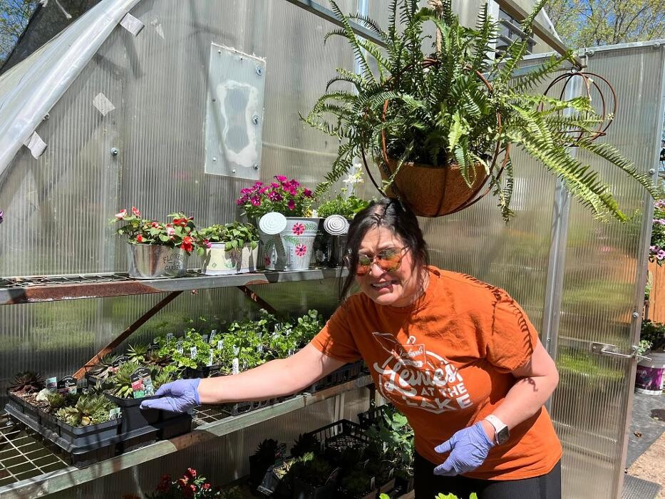 Images Toboggan Run Dental