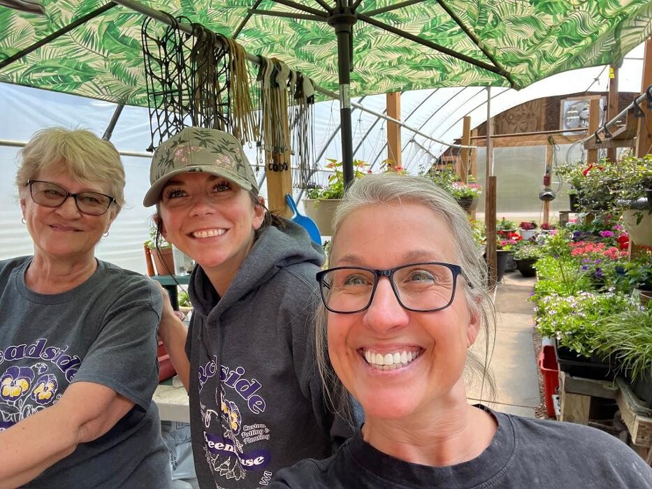 Images Toboggan Run Dental