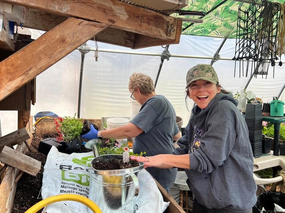 Images Toboggan Run Dental