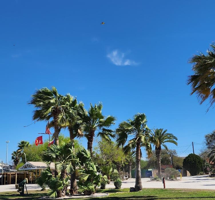 Images Sea Breeze RV Community/Resort