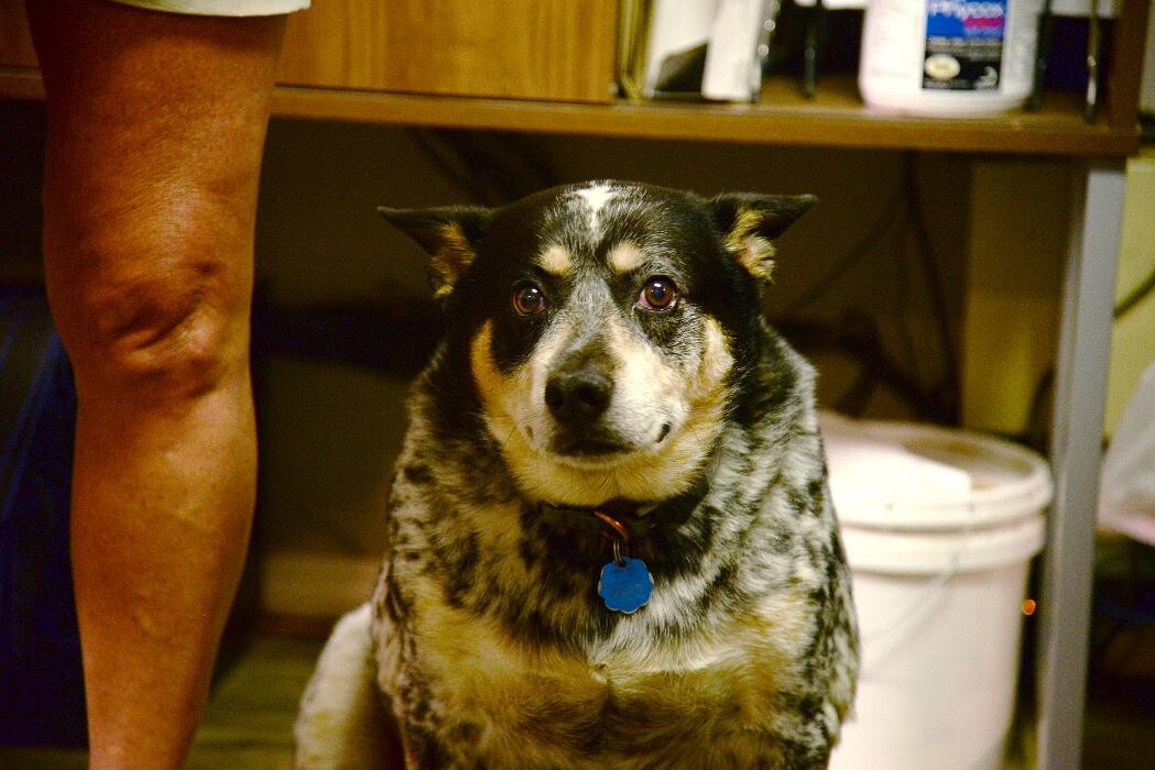 Images Evans Body Shop Inc