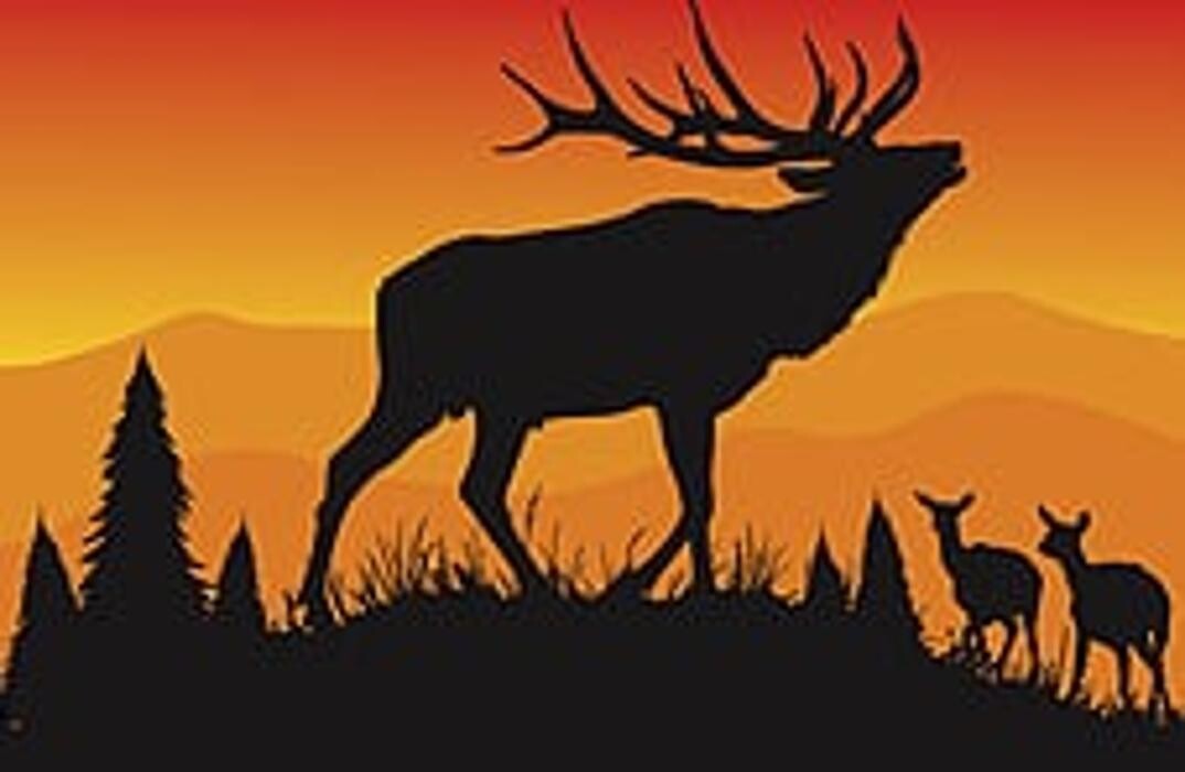 Images Boulder Basin Outfitters