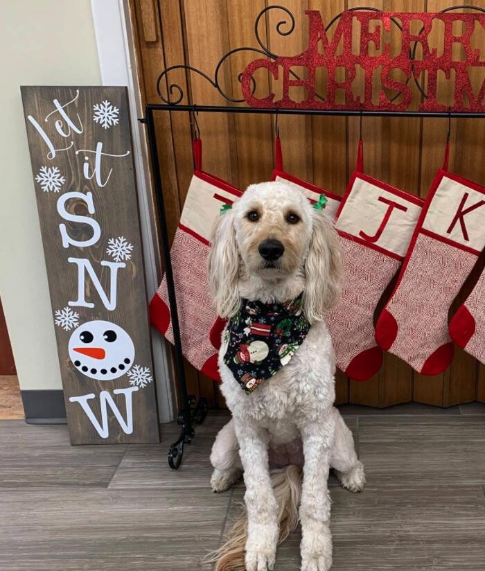 Images Buehler Interiors