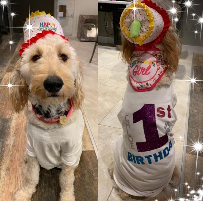 Images Buehler Interiors