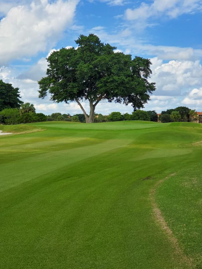 Images Jacaranda Golf Club