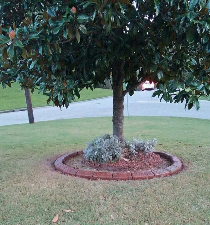 Images Rountree's Lawn Maintenance, Inc.