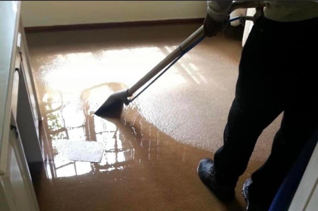 Images Water Damage Cleanup Team