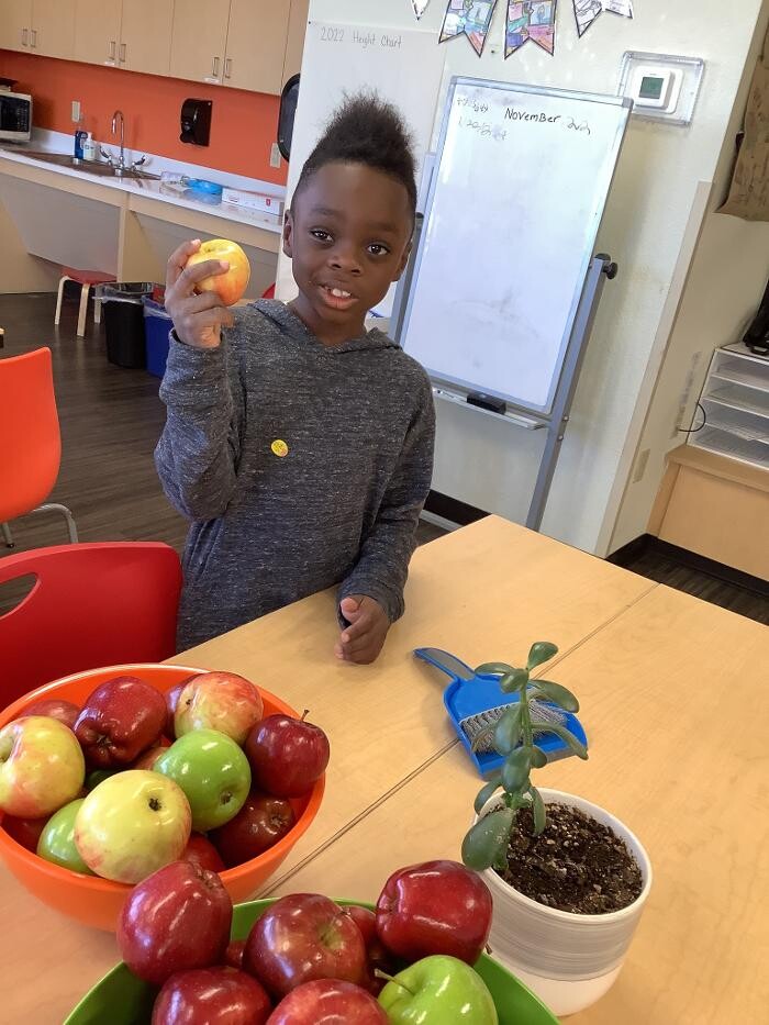 Images Montessori ONE Academy