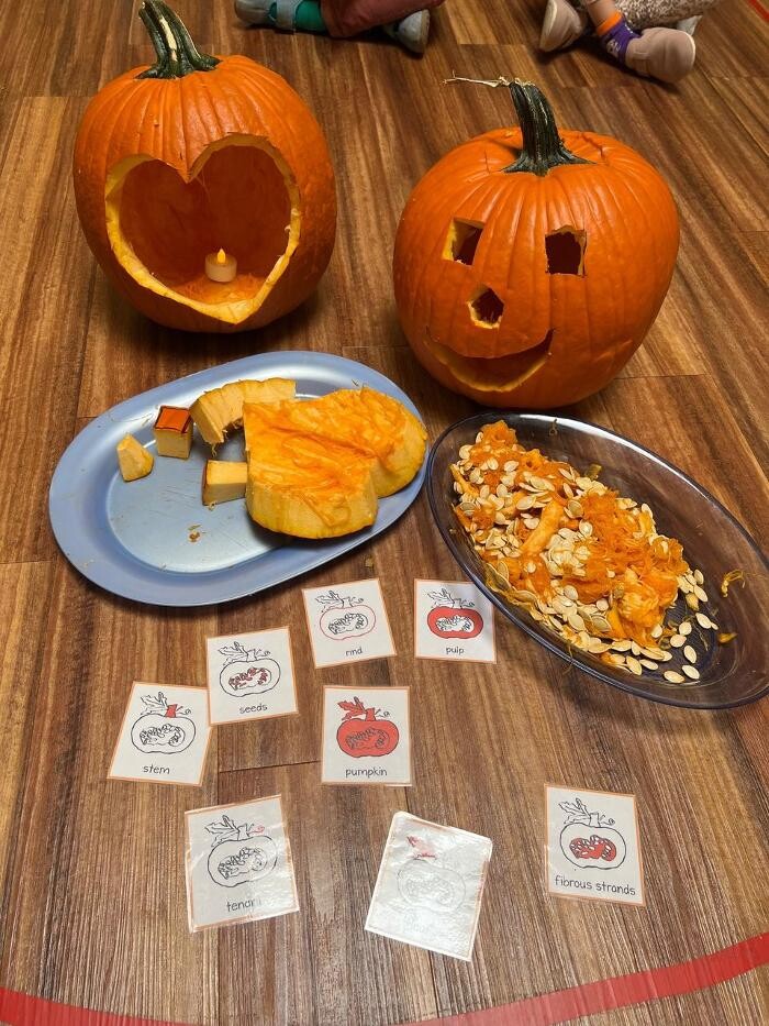 Images Montessori ONE Academy