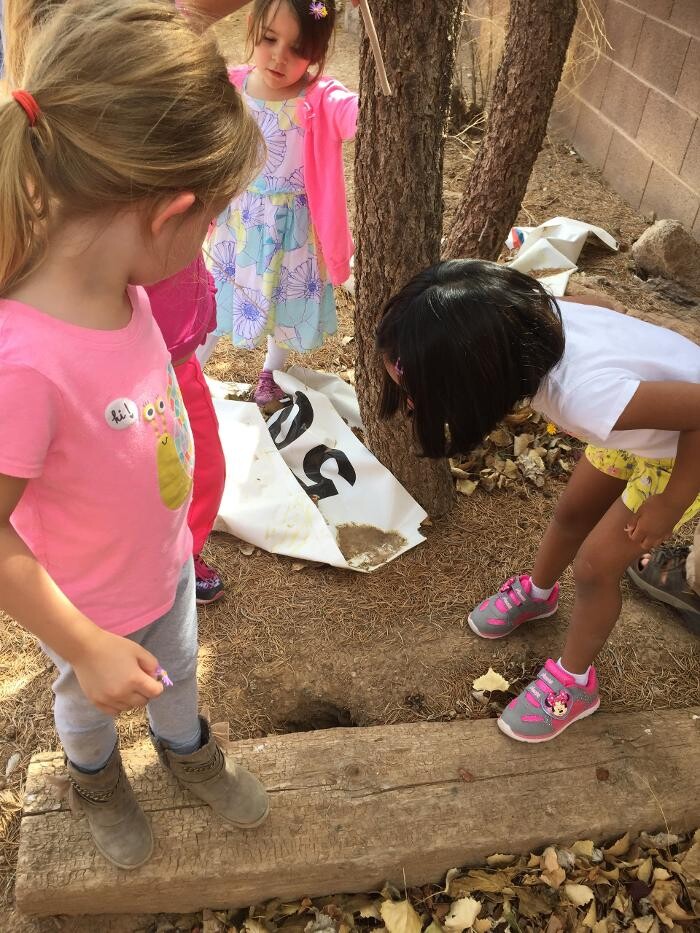 Images Montessori ONE Academy