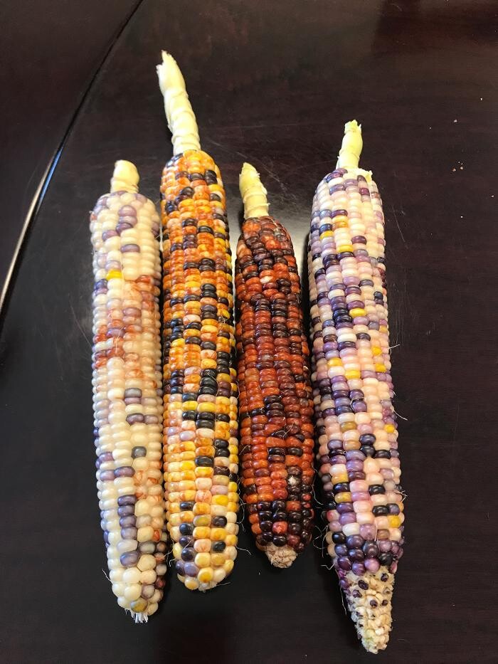 Images Montessori ONE Academy