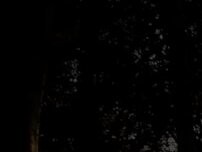 Website Screenshot Skyline Lodge