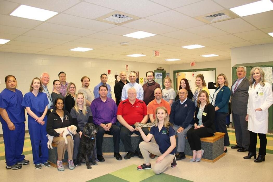 Images Vachon Dental