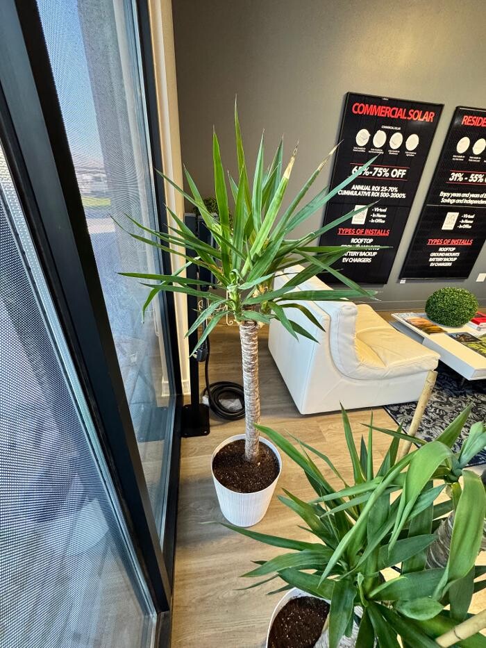 Images Solar in Cache Valley