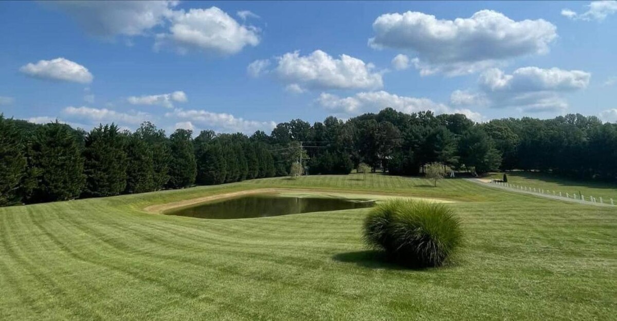Images Lawns 'n Needs