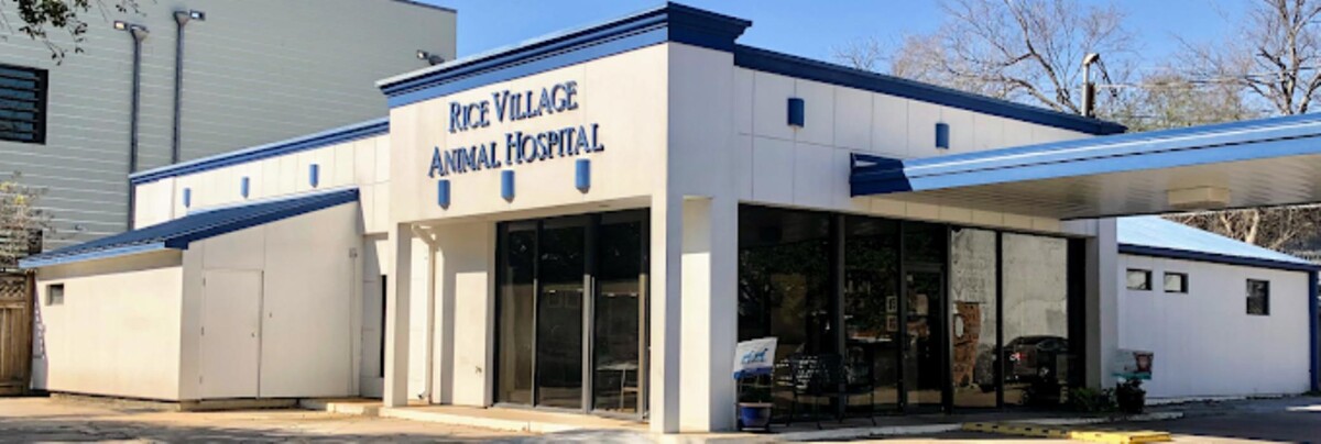 Images Rice Village Animal Hospital