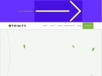 Website Screenshot Trinity - Rolla