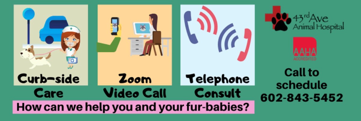 Images 43rd Avenue Animal Hospital