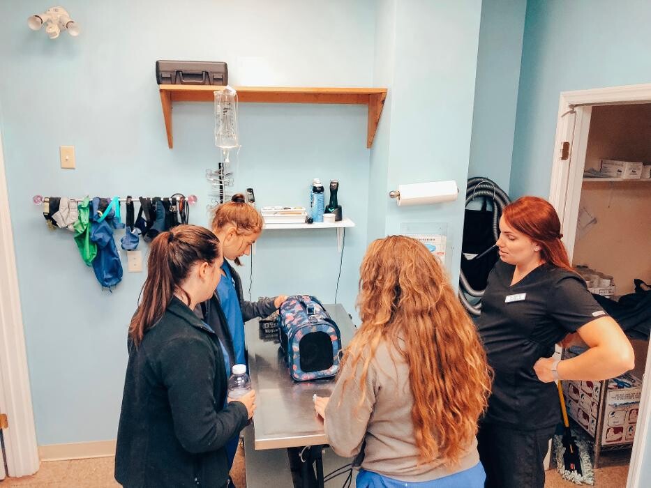 Images Advanced Animal Care Berea