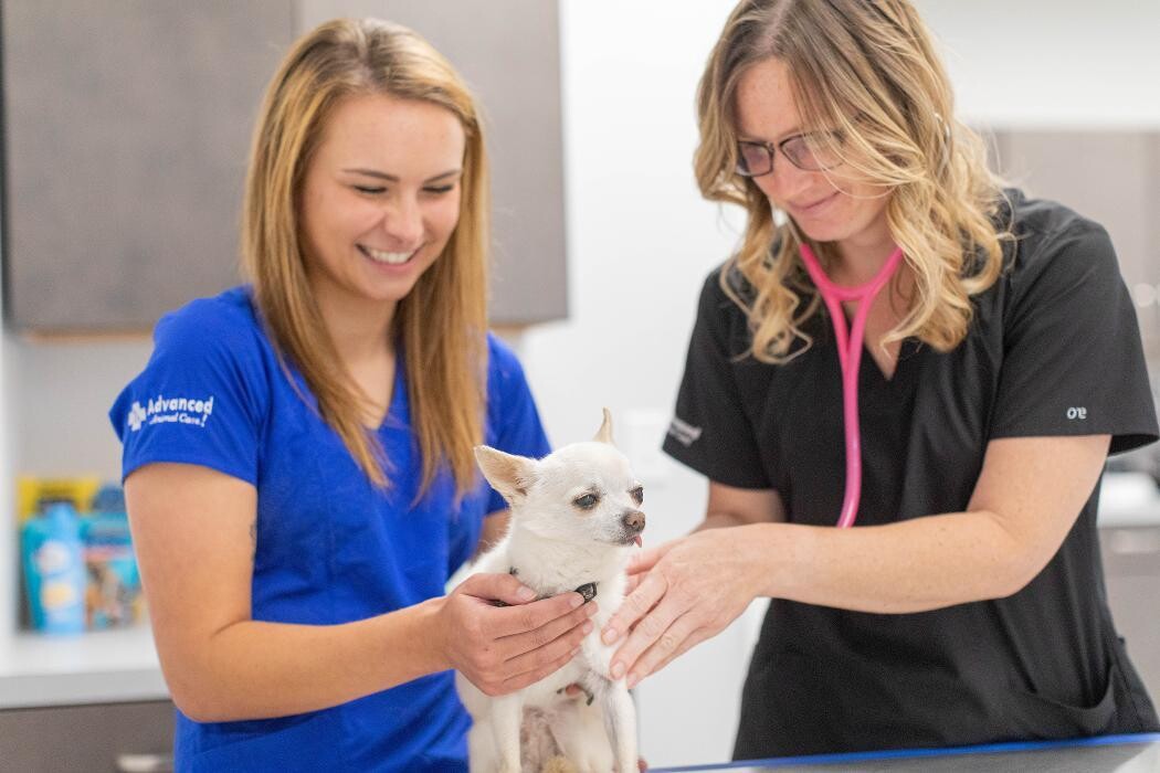 Images Advanced Animal Care Berea