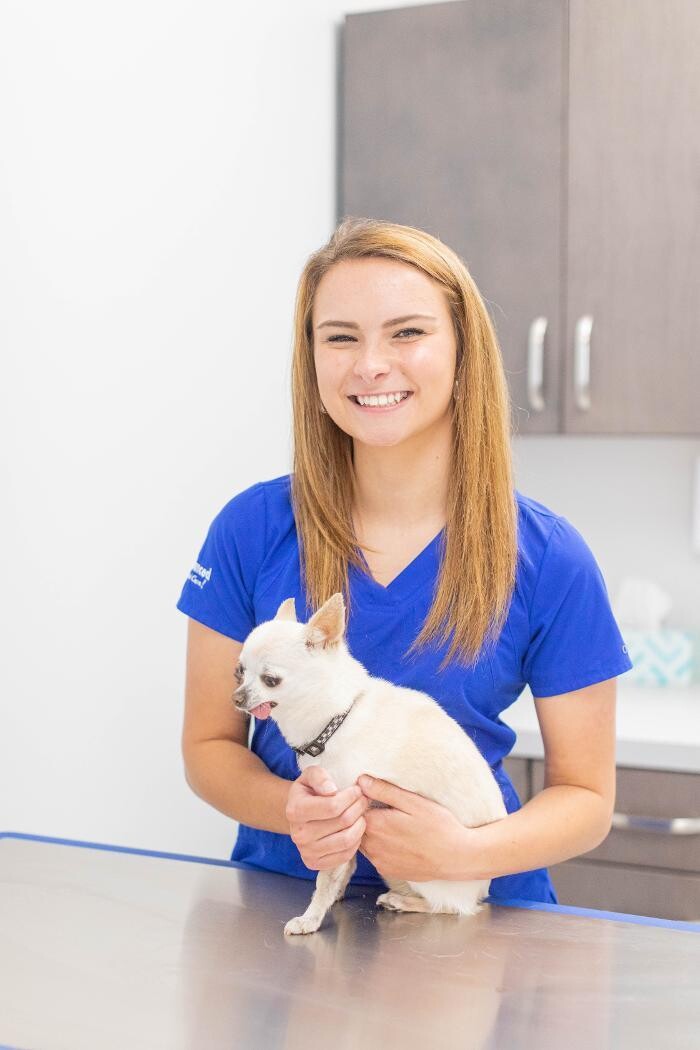 Images Advanced Animal Care Berea