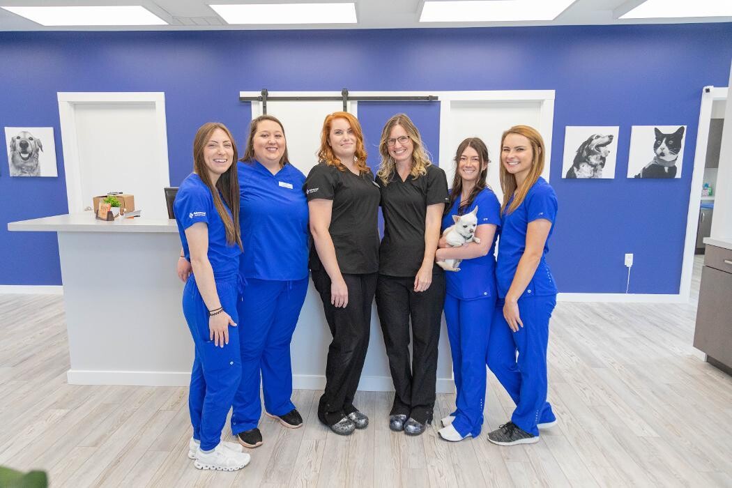 Images Advanced Animal Care Berea