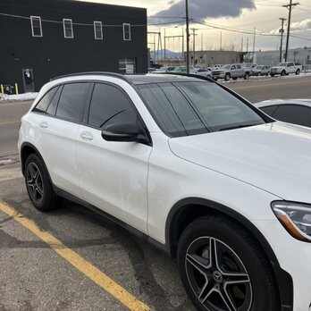 Images Gorilla Tinting