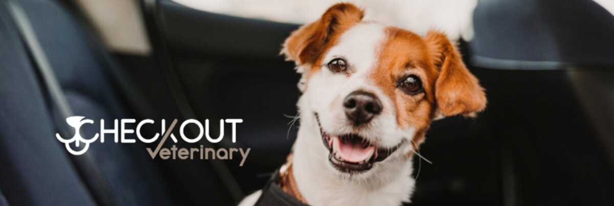 Images Checkout Veterinary