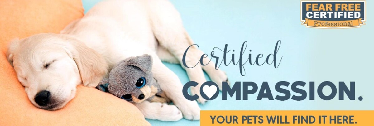 Images DePorre Veterinary Hospital