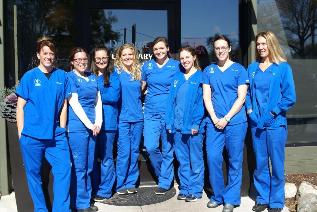 Images DePorre Veterinary Hospital