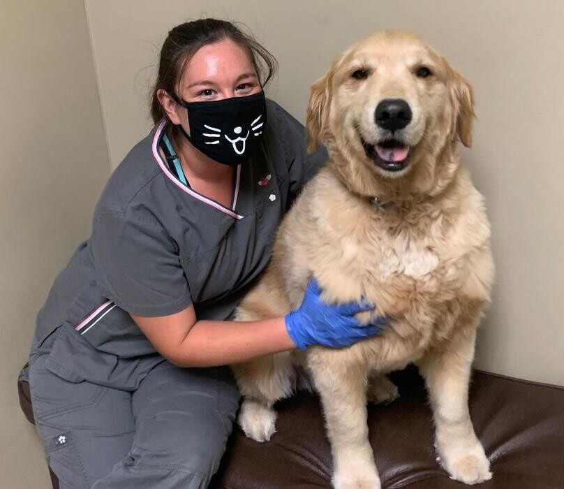 Images DePorre Veterinary Hospital