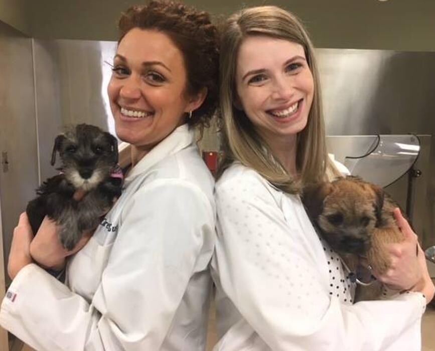 Images DePorre Veterinary Hospital