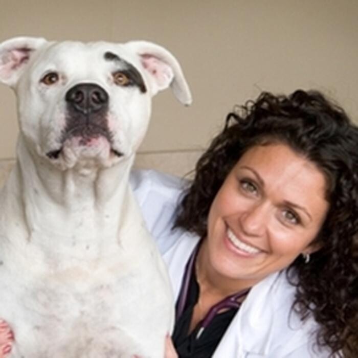 Images DePorre Veterinary Hospital