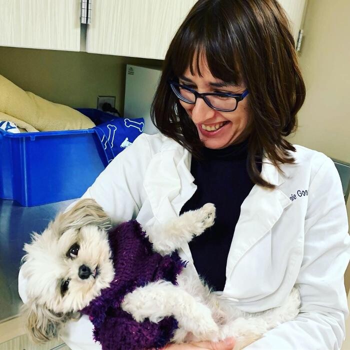 Images DePorre Veterinary Hospital