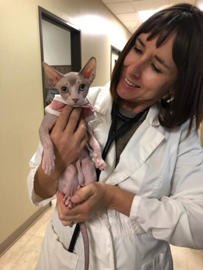 Images DePorre Veterinary Hospital