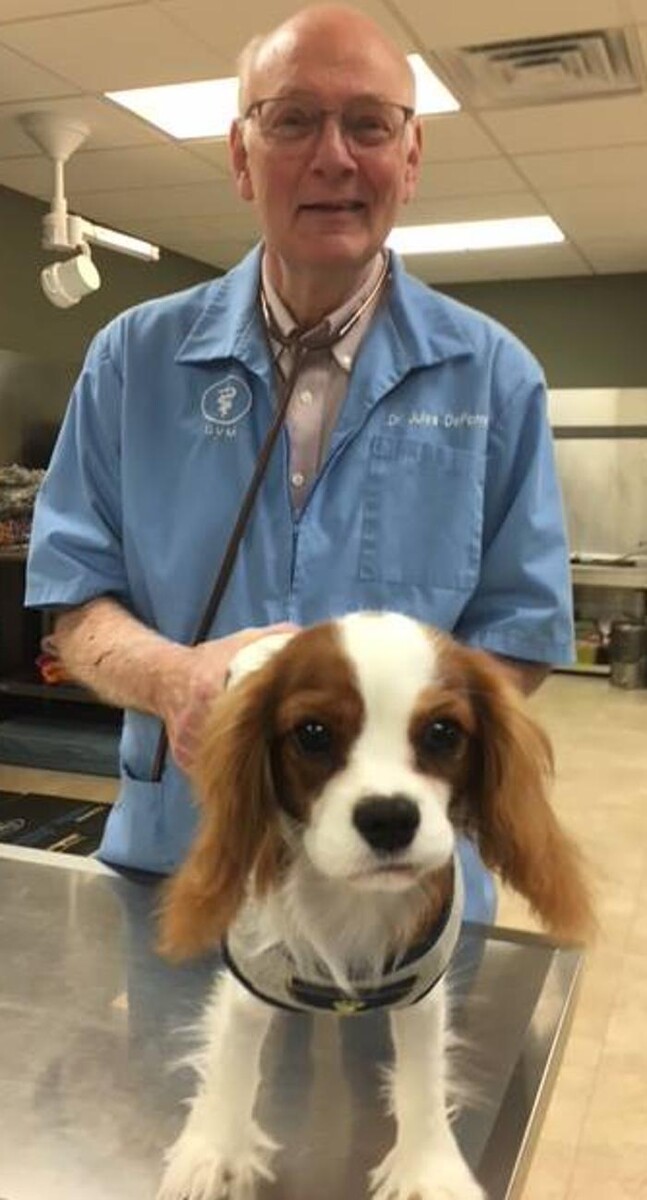Images DePorre Veterinary Hospital