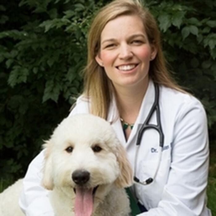 Images DePorre Veterinary Hospital