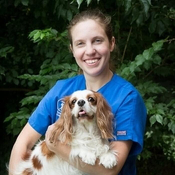 Images DePorre Veterinary Hospital