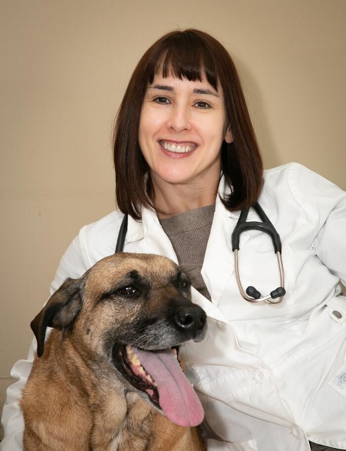 Images DePorre Veterinary Hospital