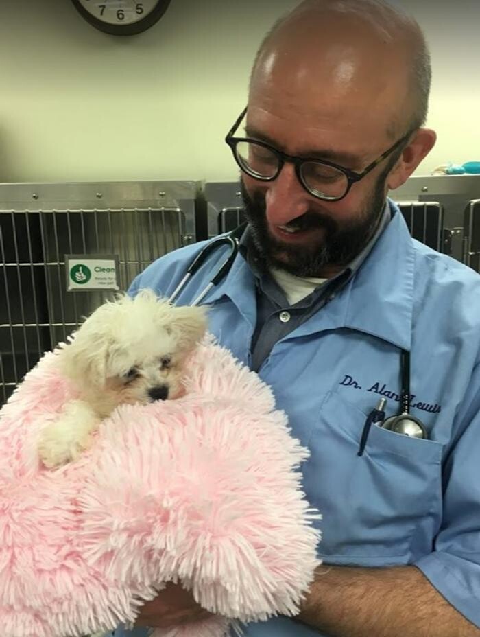 Images DePorre Veterinary Hospital