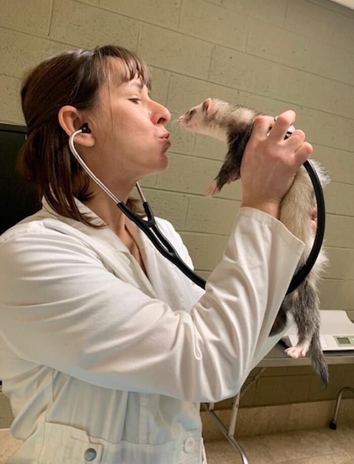 Images DePorre Veterinary Hospital