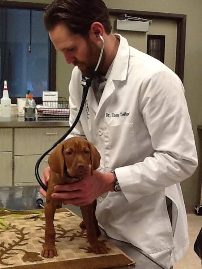 Images DePorre Veterinary Hospital