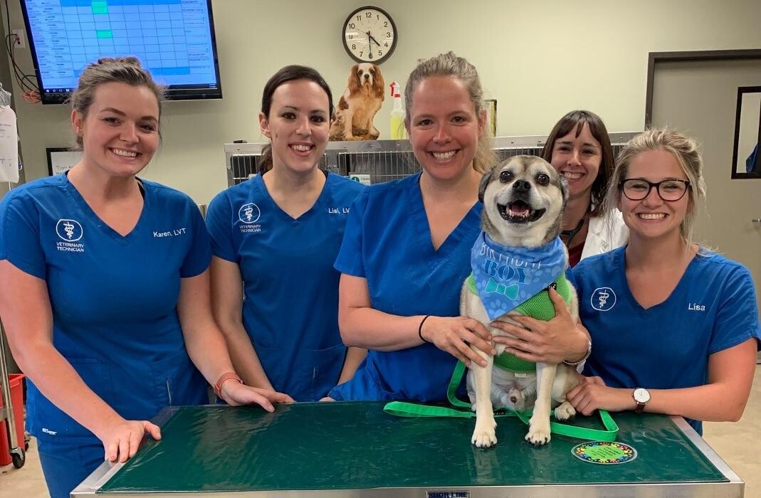 Images DePorre Veterinary Hospital