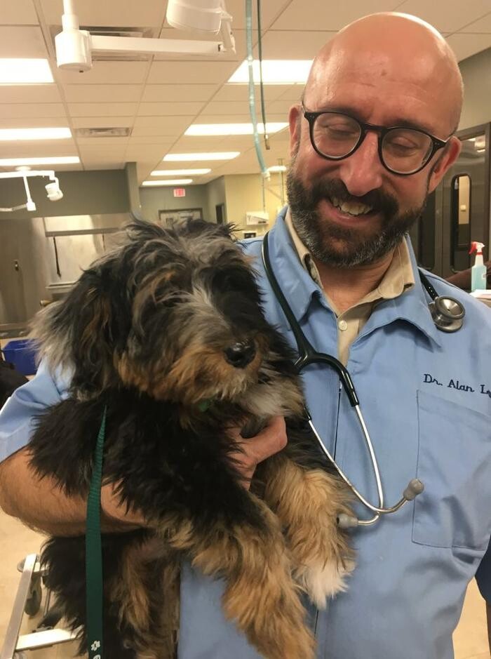 Images DePorre Veterinary Hospital