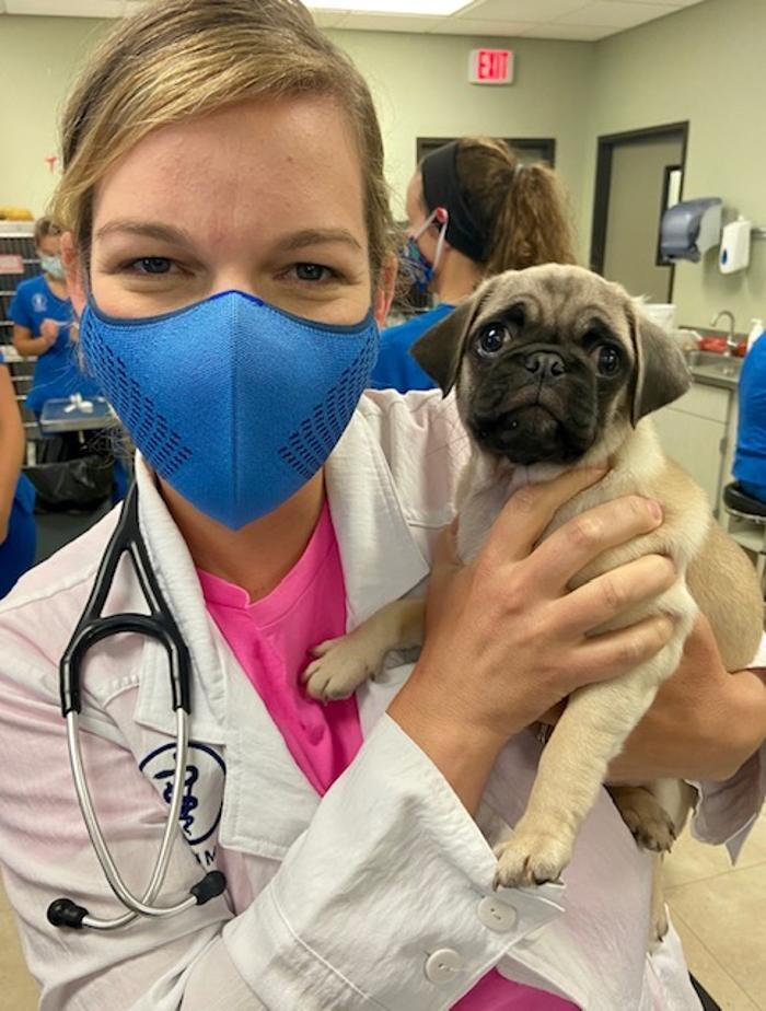 Images DePorre Veterinary Hospital